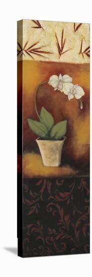 Orchid Poem-Rita Vindedzis-Stretched Canvas