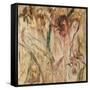 Orchid Resonance-Jodi Maas-Framed Stretched Canvas