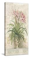 Orchid Revival ll-Peggy Abrams-Stretched Canvas