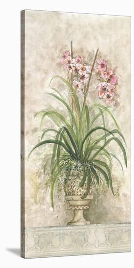 Orchid Revival ll-Peggy Abrams-Stretched Canvas