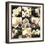 Orchid Rhapsody-Katja Marzahn-Framed Giclee Print