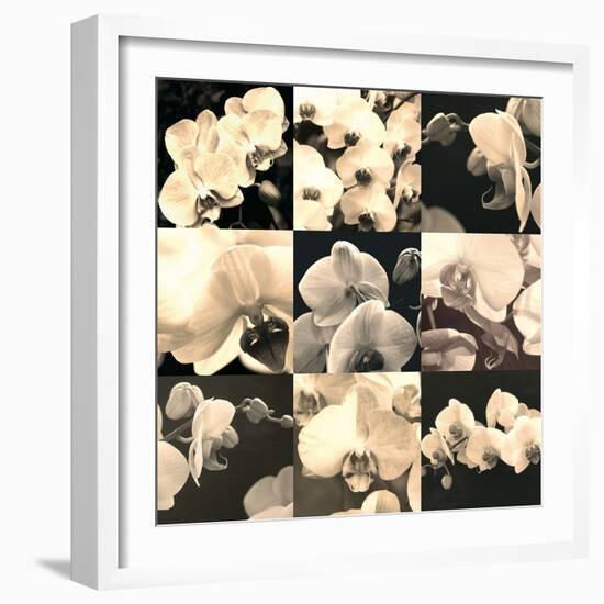 Orchid Rhapsody-Katja Marzahn-Framed Giclee Print