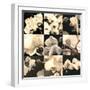 Orchid Rhapsody-Katja Marzahn-Framed Giclee Print