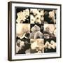 Orchid Rhapsody-Katja Marzahn-Framed Giclee Print