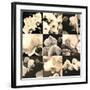 Orchid Rhapsody-Katja Marzahn-Framed Giclee Print