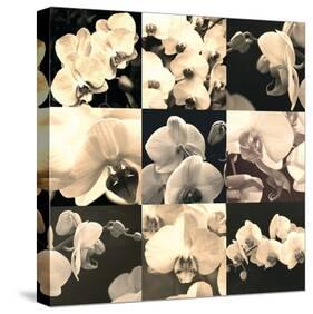 Orchid Rhapsody-Katja Marzahn-Stretched Canvas