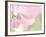 Orchid's Softness-Doug Chinnery-Framed Photographic Print