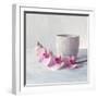 Orchid - Serenity-Assaf Frank-Framed Giclee Print