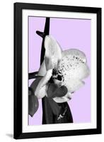 Orchid Shadow I-Sukhanlee-Framed Giclee Print