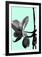 Orchid Shadow II-Sukhanlee-Framed Giclee Print