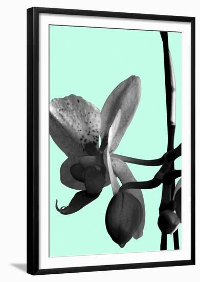 Orchid Shadow II-Sukhanlee-Framed Giclee Print