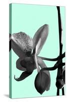Orchid Shadow II-Sukhanlee-Stretched Canvas