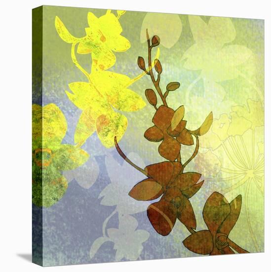 Orchid Shadows II-Jan Weiss-Stretched Canvas