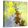 Orchid Shadows II-Jan Weiss-Stretched Canvas