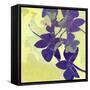 Orchid Shadows-Jan Weiss-Framed Stretched Canvas