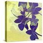 Orchid Shadows-Jan Weiss-Stretched Canvas