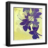 Orchid Shadows-Jan Weiss-Framed Art Print