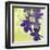 Orchid Shadows-Jan Weiss-Framed Art Print