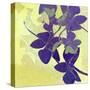 Orchid Shadows-Jan Weiss-Stretched Canvas