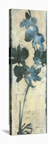 Orchid Silhouette II-Liz Jardine-Stretched Canvas