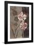 Orchid Sketch I-Tandi Venter-Framed Giclee Print