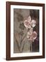 Orchid Sketch I-Tandi Venter-Framed Giclee Print