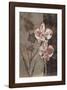 Orchid Sketch I-Tandi Venter-Framed Giclee Print