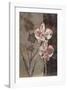 Orchid Sketch I-Tandi Venter-Framed Giclee Print