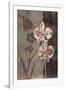 Orchid Sketch I-Tandi Venter-Framed Giclee Print