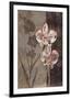 Orchid Sketch I-Tandi Venter-Framed Giclee Print