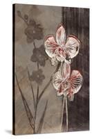 Orchid Sketch I-Tandi Venter-Stretched Canvas