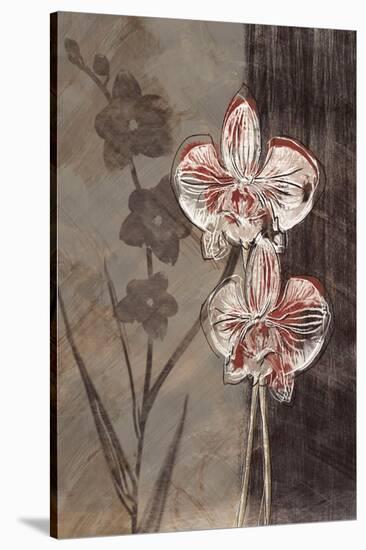 Orchid Sketch I-Tandi Venter-Stretched Canvas