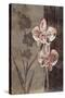 Orchid Sketch I-Tandi Venter-Stretched Canvas