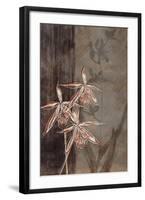 Orchid Sketch II-Tandi Venter-Framed Giclee Print