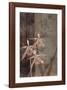 Orchid Sketch II-Tandi Venter-Framed Giclee Print