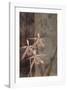 Orchid Sketch II-Tandi Venter-Framed Giclee Print