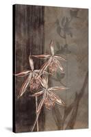 Orchid Sketch II-Tandi Venter-Stretched Canvas