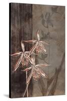 Orchid Sketch II-Tandi Venter-Stretched Canvas