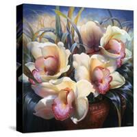 Orchid Sonata-Elizabeth Horning-Stretched Canvas