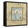 Orchid Spa 3-Lisa Audit-Framed Stretched Canvas