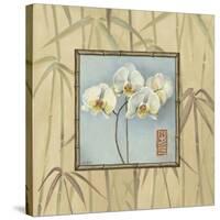 Orchid Spa 4-Lisa Audit-Stretched Canvas