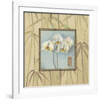 Orchid Spa 4-Lisa Audit-Framed Giclee Print