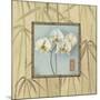 Orchid Spa 4-Lisa Audit-Mounted Giclee Print