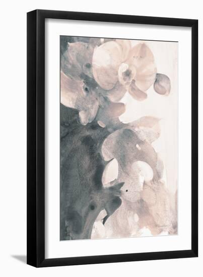 Orchid Splendor II Blush-Albena Hristova-Framed Art Print