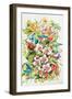 Orchid Splendor with Birds-Kathleen Parr McKenna-Framed Art Print