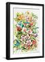 Orchid Splendor with Birds-Kathleen Parr McKenna-Framed Art Print