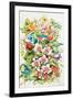 Orchid Splendor with Birds-Kathleen Parr McKenna-Framed Art Print