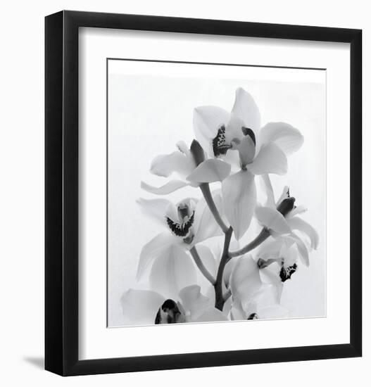 Orchid Spray I-Tom Artin-Framed Giclee Print