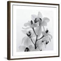 Orchid Spray I-Tom Artin-Framed Giclee Print
