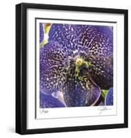Orchid Square-Ken Bremer-Framed Limited Edition